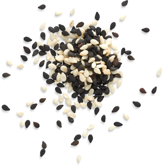 Isolated Cutout PNG